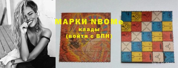сатива Лабытнанги