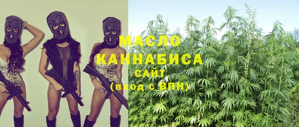 сатива Лабытнанги