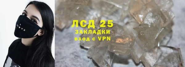 сатива Лабытнанги