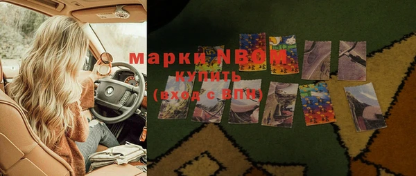 сатива Лабытнанги