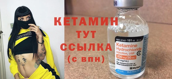 сатива Лабытнанги