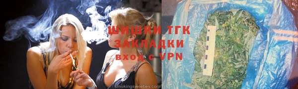 сатива Лабытнанги
